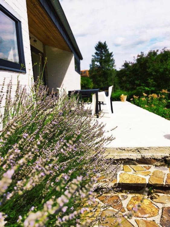 Le Clos Des 3 - Vacances Avec Vue En Ardennes A 5 Kilometres De La Roche - Maison De 90 M2 Avec Chambres - Avec Magnifique Jardin Rendeux Eksteriør billede