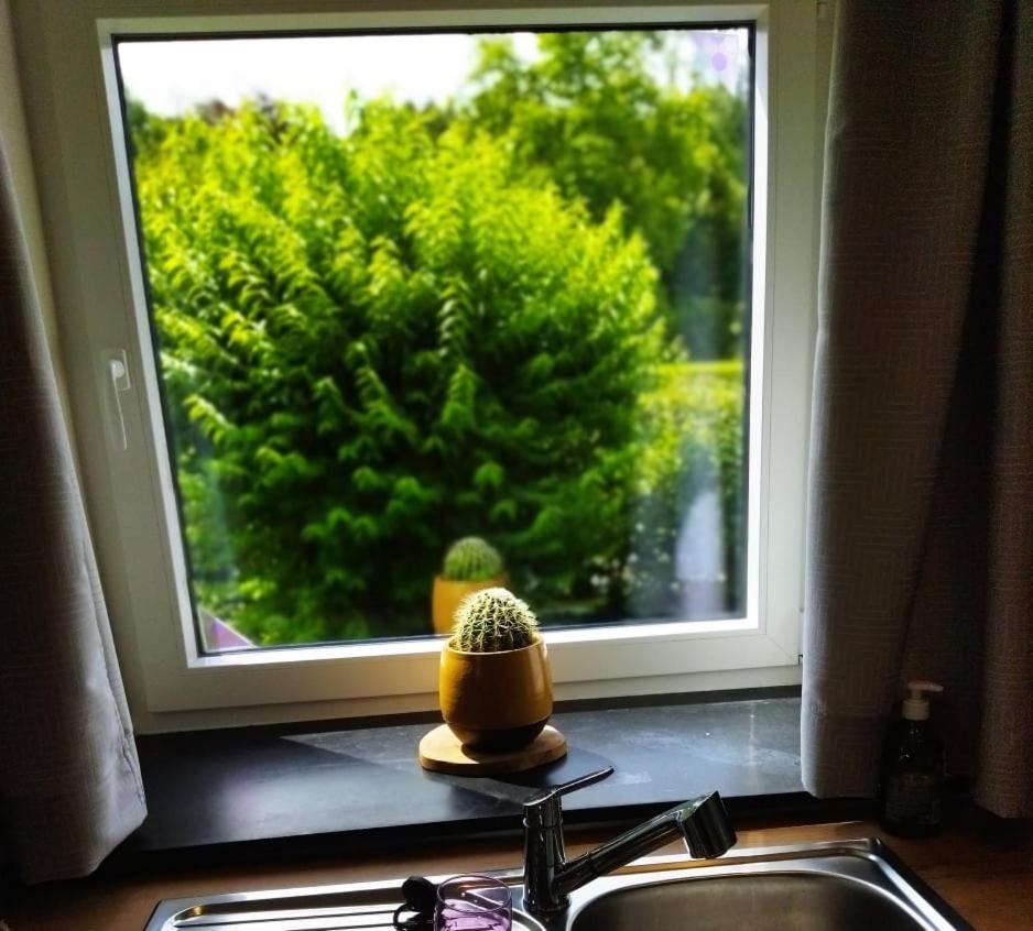 Le Clos Des 3 - Vacances Avec Vue En Ardennes A 5 Kilometres De La Roche - Maison De 90 M2 Avec Chambres - Avec Magnifique Jardin Rendeux Eksteriør billede